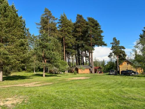 a large yard with a house and trees at Artur´s Eaterie and Holiday home in Viitna