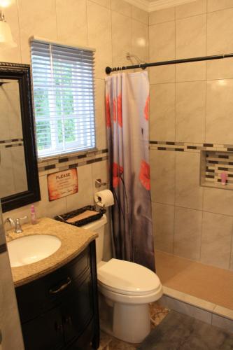 a bathroom with a toilet and a sink and a shower at Soleil Palm View Villa in Priory