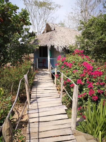 a wooden pathway leading to a house with flowers at Cabañas La Múcura in San Onofre