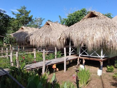 a group of straw huts with a wooden bridge at Cabañas La Múcura in San Onofre