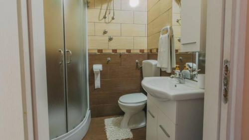 a bathroom with a toilet and a sink and a shower at Apartments with a parking space Sabljak Selo, Gorski kotar - 21683 in Ogulin