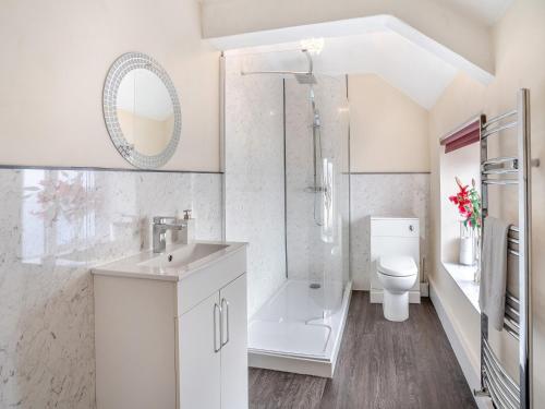 a bathroom with a toilet and a sink and a shower at The Llandeilo Cottage in Llandeilo