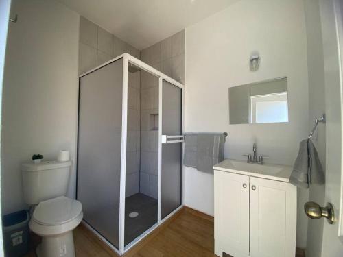 a bathroom with a shower and a toilet and a sink at Departamento ‘El Bello’ en Palapa Ochoa in Loreto