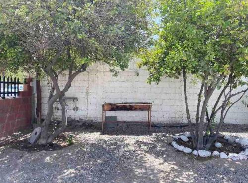 a wooden bench sitting next to two trees at Departamento ‘El Bello’ en Palapa Ochoa in Loreto
