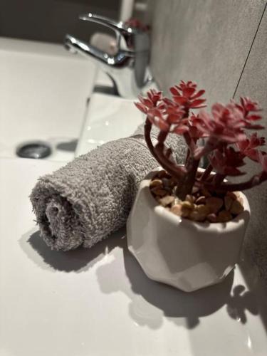 une plante dans un vase blanc sur un lavabo dans l'établissement L'Airzenity ~ Chill ~ Proche Gare ~ WiFi, à Amiens