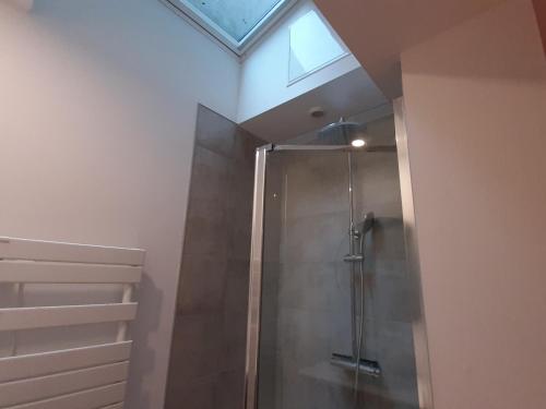 La salle de bains est pourvue d'une douche et d'une lucarne. dans l'établissement Appartement cosy à Biarritz, proche des Halles et plages, idéal pour 2 avec wifi inclus - FR-1-239-853, à Biarritz