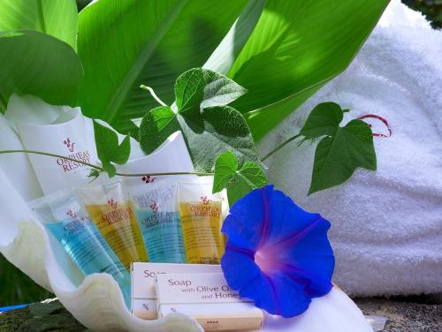 a blue flower sitting next to a bunch of cards at Orpheas Resort Hotel (Adults Only) in Georgioupolis