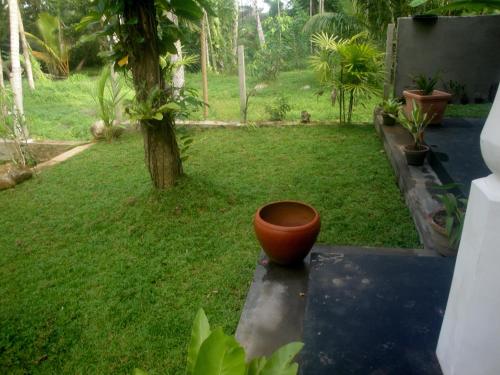 an orange pot sitting on the ground next to a tree at Priyanka Villa in Bentota