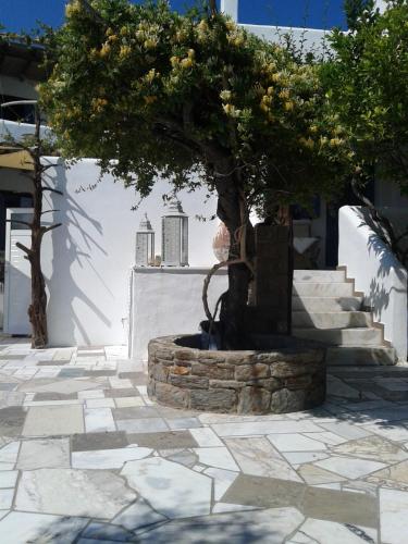 a tree sitting on top of a stone courtyard at Patriko in Skiros