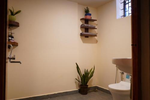 a bathroom with a toilet and a plant on the wall at Terraria Stay and Cafe in Canacona