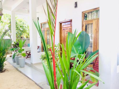 a courtyard with plants in a house at Tropicana Home Stay in Arugam Bay