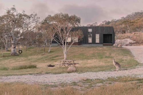 a giraffe standing next to a picnic table in front of a house at Common Kosci - luxury bespoke cabin in the Snowies in Jindabyne