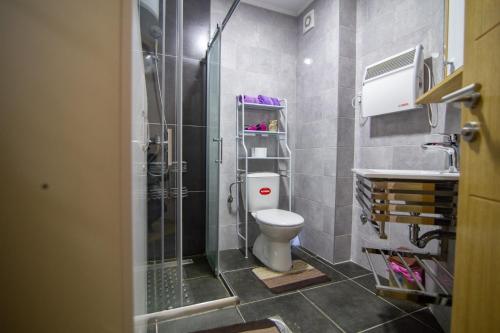 a bathroom with a toilet and a shower and a sink at GONDOLA apartman in Zlatibor