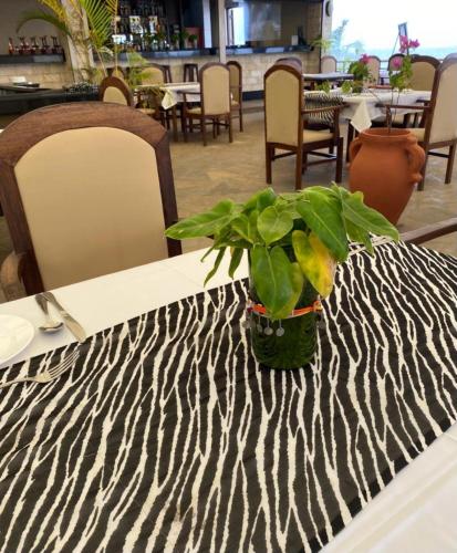 a potted plant sitting on top of a table at Indiana Beach Apartments in Bamburi