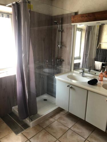 une salle de bain avec douche et lavabo dans l'établissement La Fauconnerie, à Bourgneuf-en-Retz