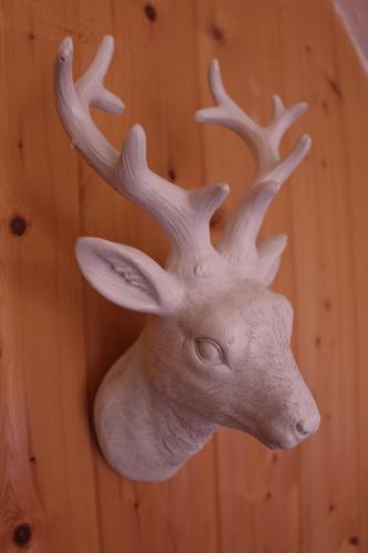 a deer head with antlers hanging on a wall at Straniger Alm in Stranig