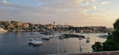 a group of boats docked in a harbor at La Terrace in Aswan