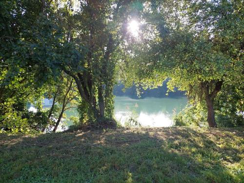 une vue sur une étendue d'eau entre deux arbres dans l'établissement Maison bord de Marne pour 10 personnes avec jacuzzi, à Châlons-en-Champagne
