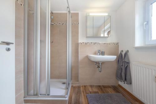 uma casa de banho com um chuveiro e um lavatório. em Ferienwohnung Örtzetal em Hermannsburg