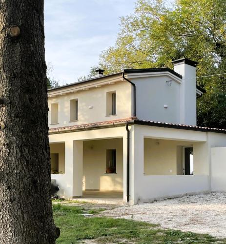 a white house with a tree in front of it at BeB La Nociaia in Tavullia