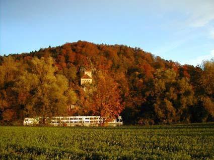 a house on top of a hill with trees at Gasthof Hotel zur Post in Erlau