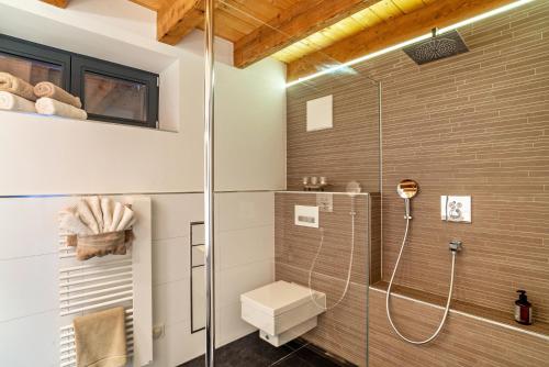 a bathroom with a toilet and a glass shower at Rebenhaus Loft in Baden-Baden