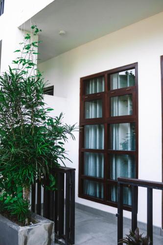 a building with a window and a potted plant at URALSURF HOUSE in Weligama