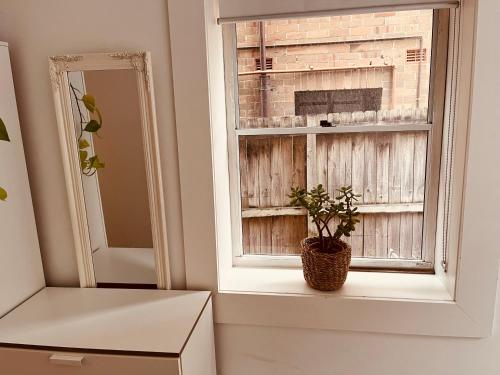 una caja sentada en el alféizar de una ventana con una planta en Little White Heaven - shared apartment, en Sídney