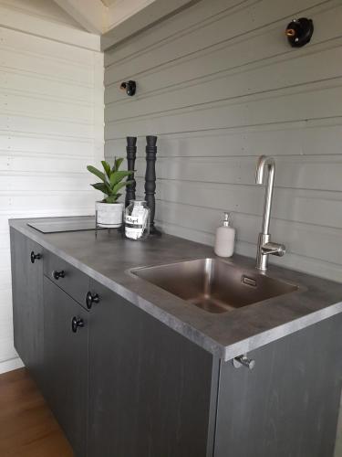 a kitchen with a stainless steel sink at Tuinkamer 't Strunerke in Augustinusga