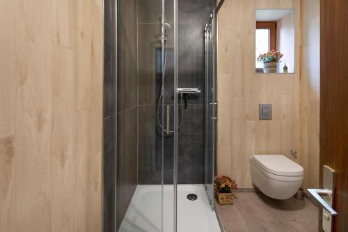 a bathroom with a shower and a toilet at Ferienhaus Cosyhome Vogelsberg in Köddingen
