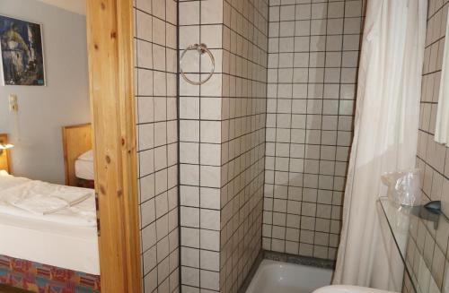 a bathroom with a shower and a toilet and a tub at Pension-zur-Rose in Schönaich