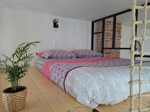 - une chambre avec deux lits et une plante en pot dans l'établissement Le Q'vier, à Montbéliard