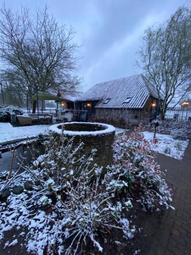 a house with a yard covered in snow at Domestico Bed & Breakfast in Lage Mierde