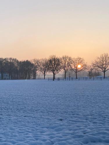 a snowy field with trees and the sunset in the background at Domestico Bed & Breakfast in Lage Mierde