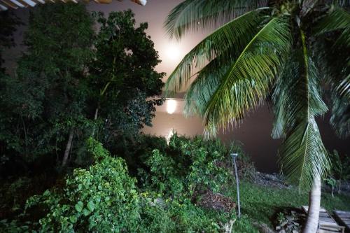 Gallery image of Cocoa Village Guesthouse in Obo