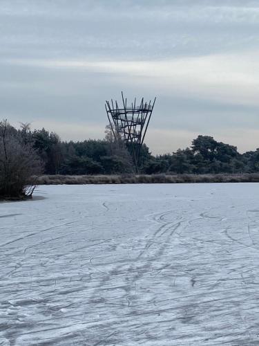 a frozen lake with a sculpture in the middle at Domestico Bed & Breakfast in Lage Mierde