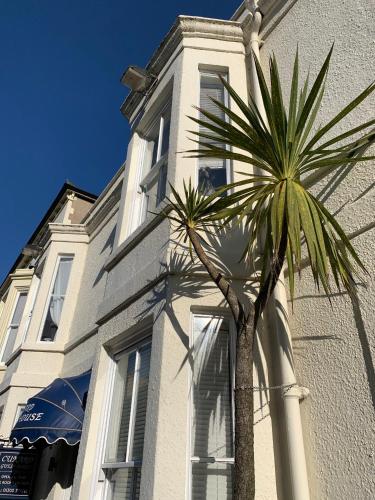 a palm tree in front of a white building at Cunard Guest House in Weymouth