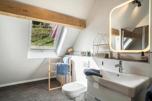 W łazience znajduje się umywalka, toaleta i lustro. w obiekcie Haus Wiesenruhe w mieście Seebach