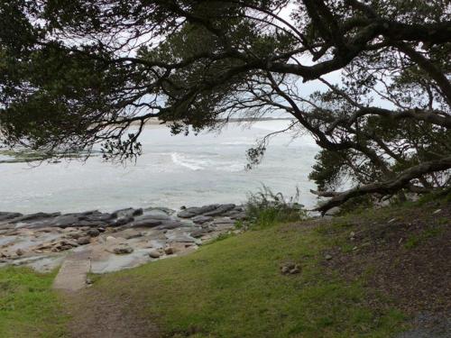 a view of the ocean through a tree at Glengariff Lodge in East London