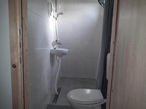 a small bathroom with a toilet and a sink at Glamping House Two Rivers in Ljubuški