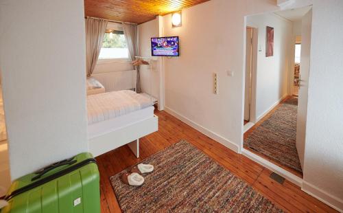 TV a/nebo společenská místnost v ubytování Ferienwohnung Sophia - FeWo Sophia