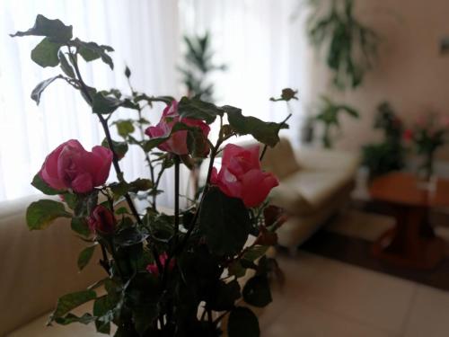 a vase with pink roses in a living room at Hotel LUDMIR in Volodymyr-Volynsʼkyy
