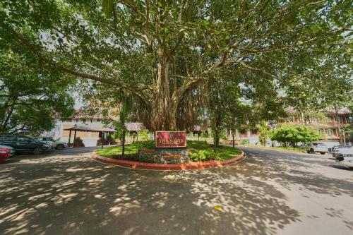 a tree in the middle of a street with a sign at The Raviz Kadavu, Kozhikode in Kozhikode