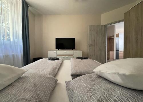 een slaapkamer met 2 bedden en een tv op een dressoir bij Ózon Apartman in Kaposvár