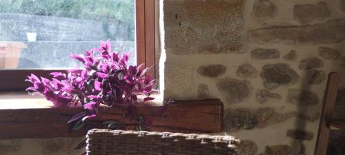 a vase of purple flowers sitting on a window sill at MUNTTEIGOIKO in Legazpia