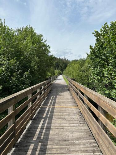 a wooden bridge with trees on both sides of it at Villa Moncoeur in Remiremont