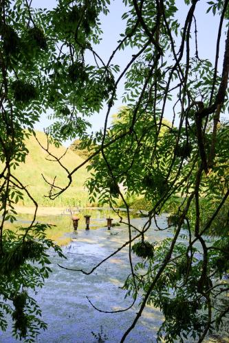 a bridge over a body of water with trees at Loughcrew House in Oldcastle