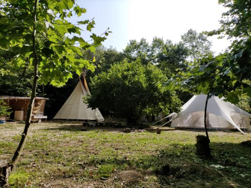 eine Gruppe von Zelten auf einem Feld mit Bäumen in der Unterkunft Albergue del Oso TierraLuz in Arbúcies