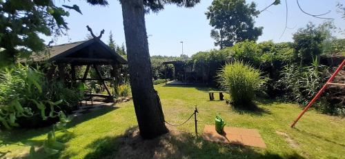 a yard with a tree and a gazebo at Spreewaldferienwohnungen Stein - Ferienhaus Bela Górka in Byhleguhre-Byhlen