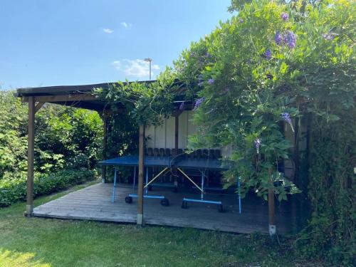 a picnic shelter with a picnic table in a garden at Spreewaldferienwohnungen Stein - Ferienhaus Bela Górka in Byhleguhre-Byhlen